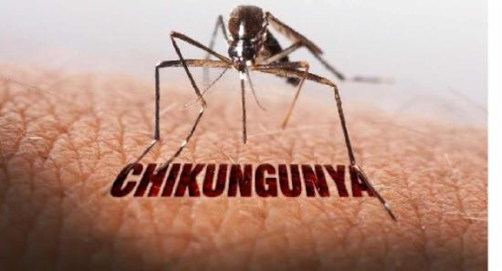 සෞඛ්‍ය අංශවලින් නිවේදනයක්..